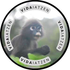 Bidaiatzen — fotografía documental de viajes por Ander Bilbao