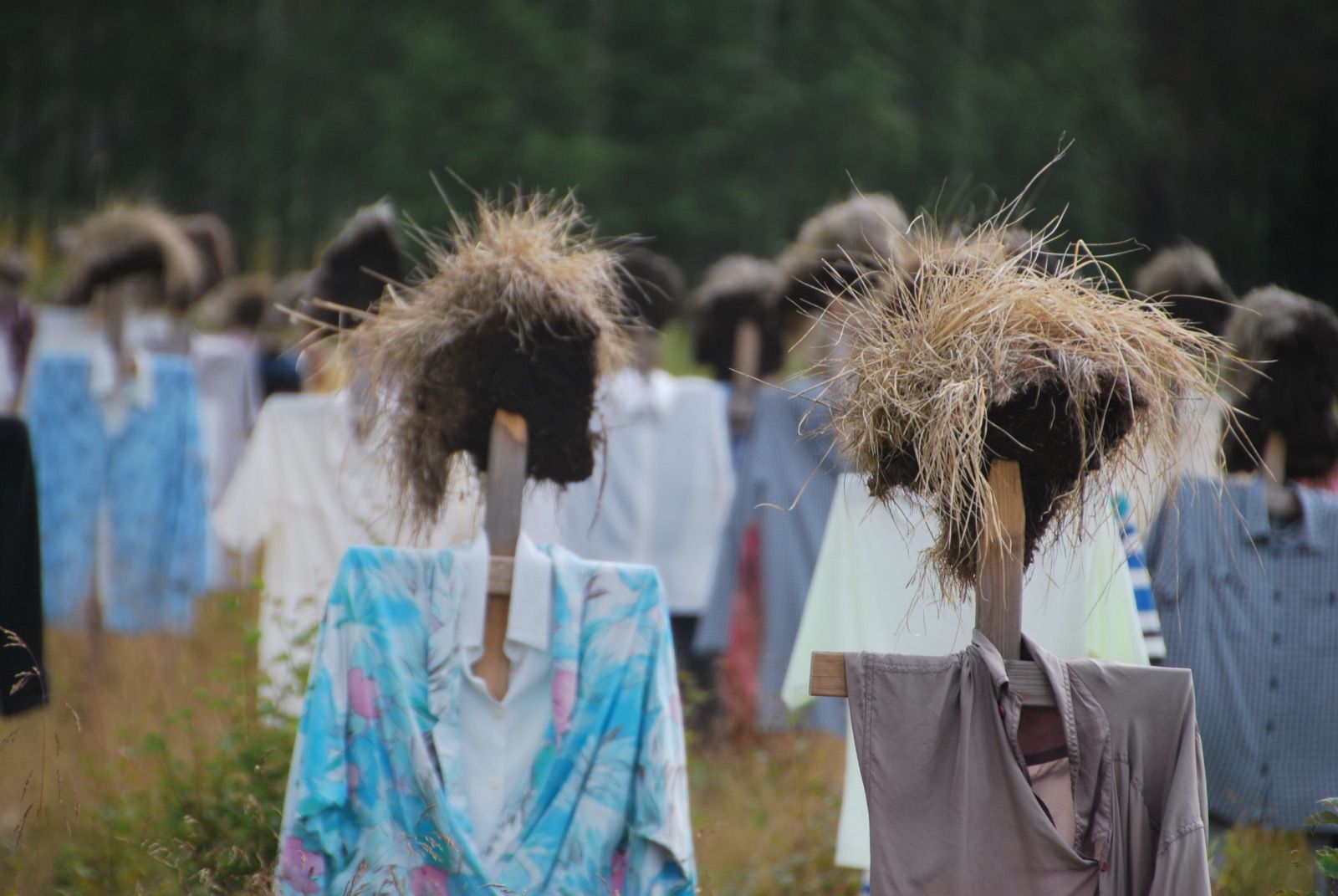 Detalle de dos espantapájaros con cabezas de hierba seca y camisas de flores, recortados sobre un bosque de coníferas en penumbra