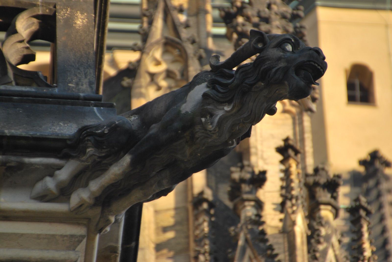 Gárgola gótica de piedra oscurecida proyectada al vacío desde la fachada de la catedral de San Vito, con los pináculos de la torre desenfocados al fondo bajo luz dorada