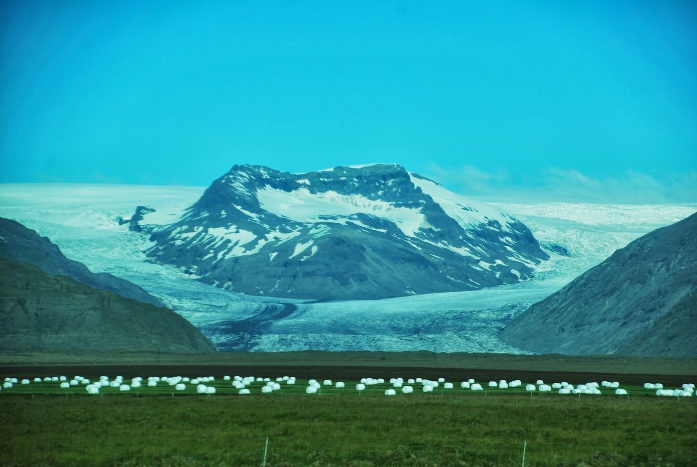 Lengua de glaciar sobre un valle verde con ovejas en Islandia