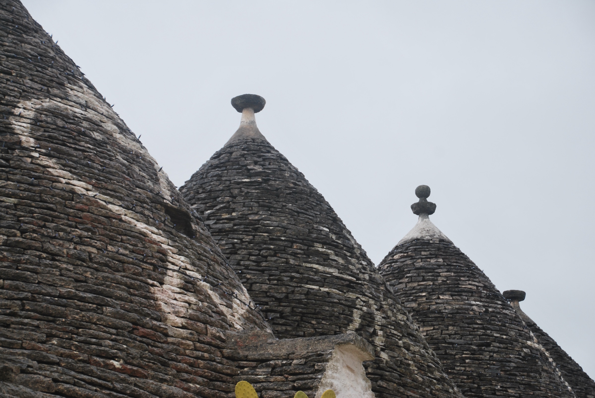 Orecchiette en la mesa