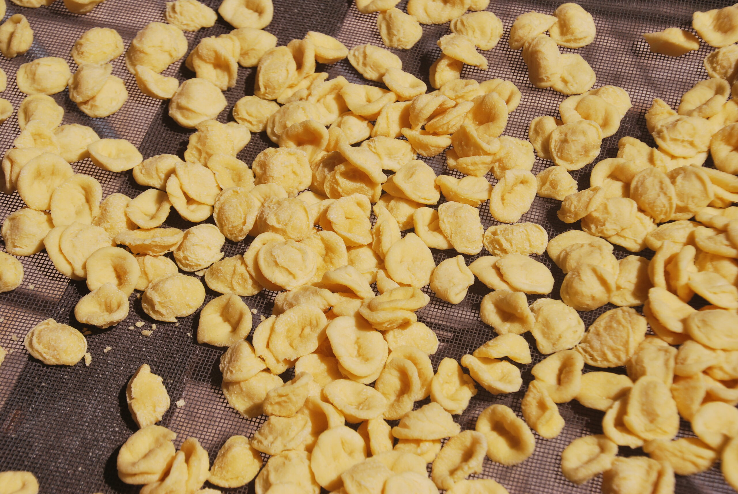 Detalle de orecchiette caseras de Puglia con textura típica de grano