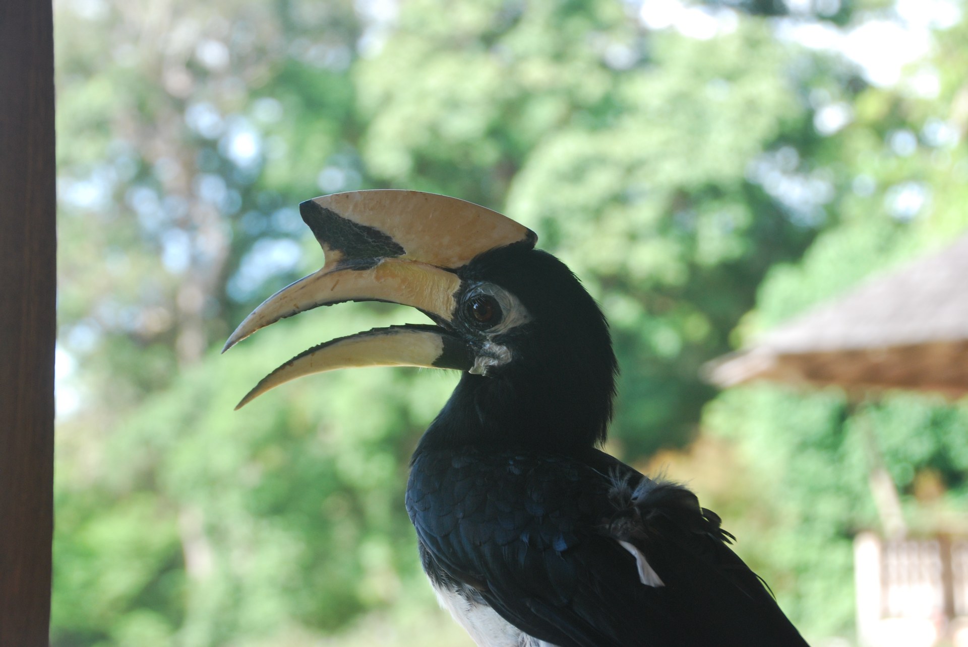 Langkawi, Malasia — fotografía de viaje
