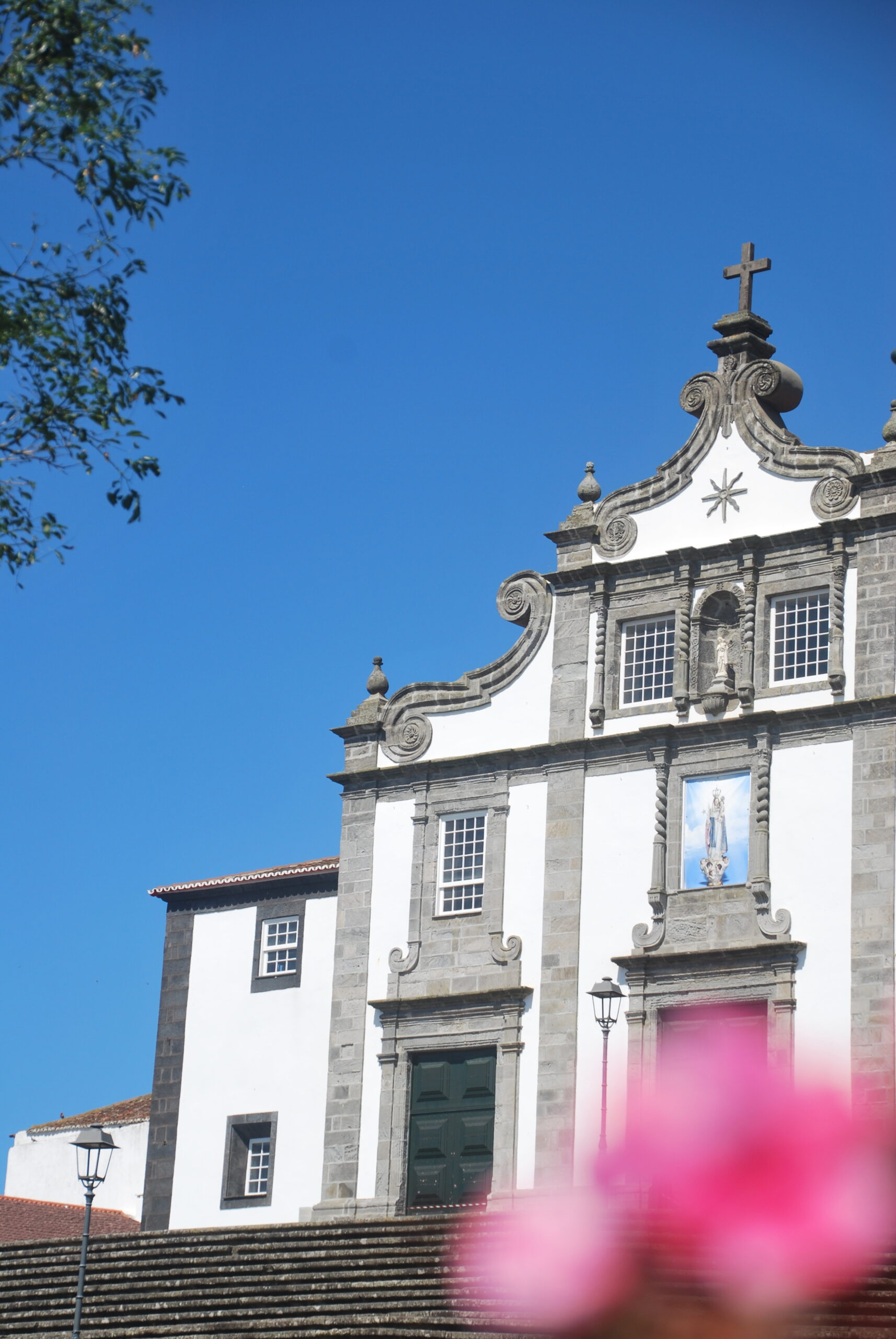 Fachada barroca de iglesia en Ponta Delgada con buganvilla rosa, Ilha São Miguel