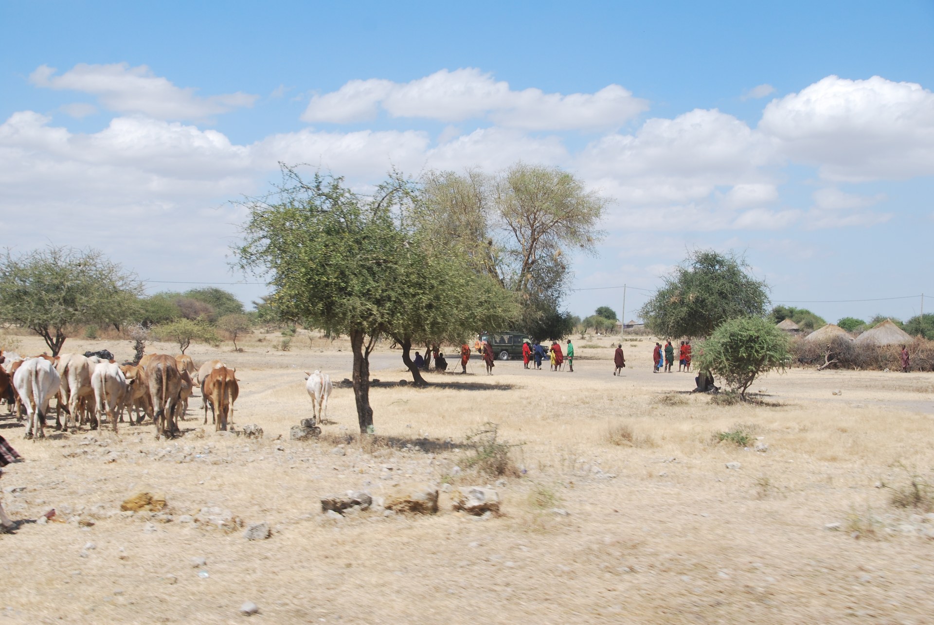 Atardecer en Tanzania