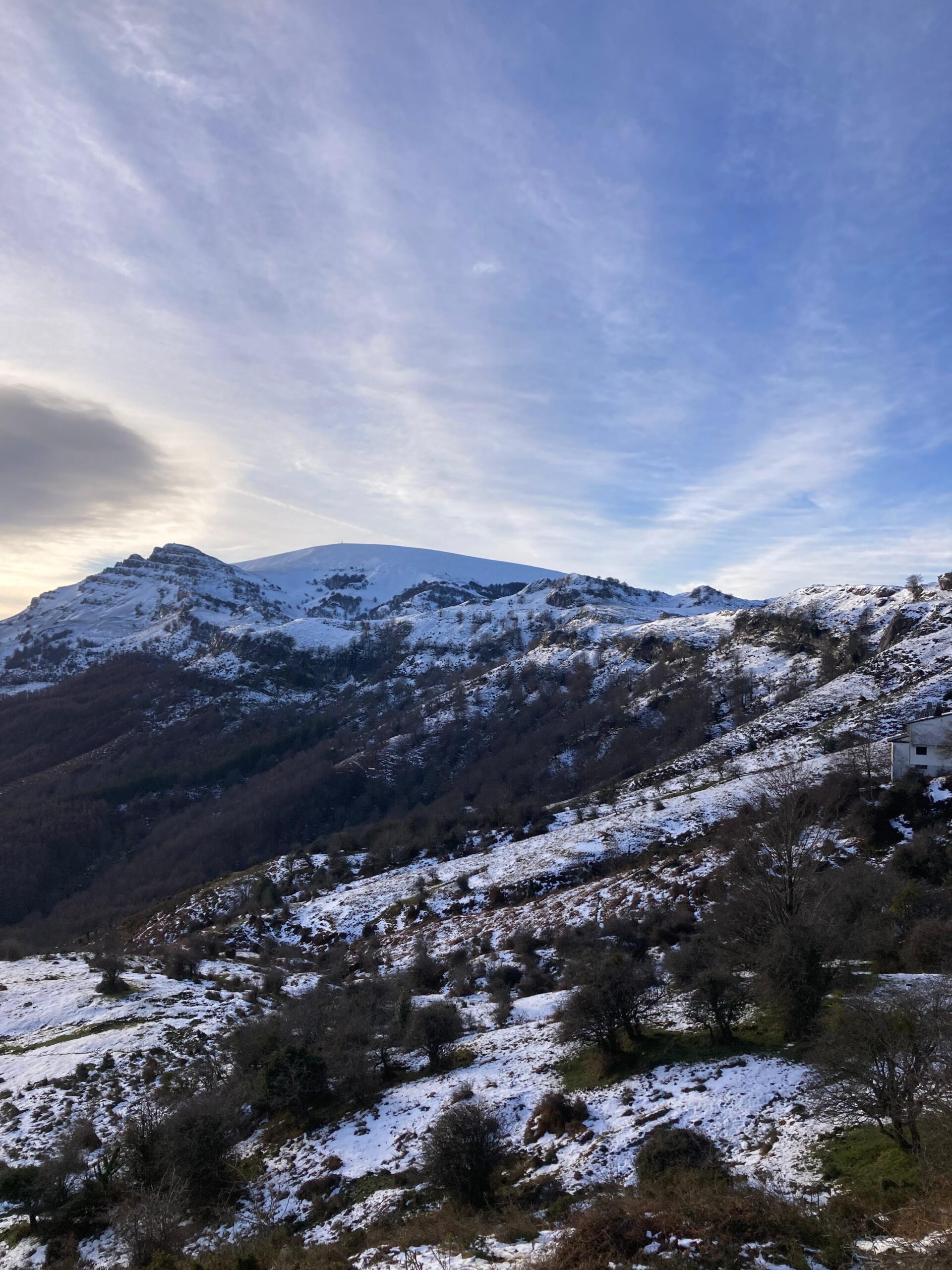 gorbea foto 4