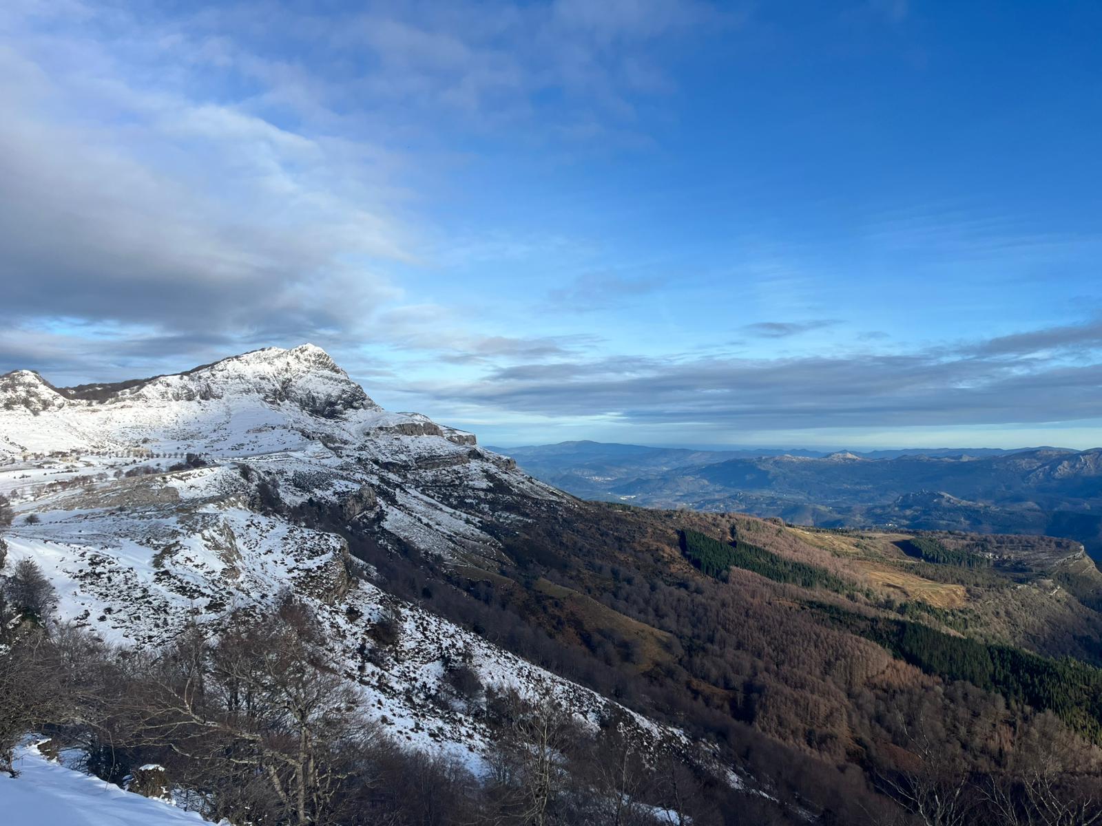 gorbea foto 9