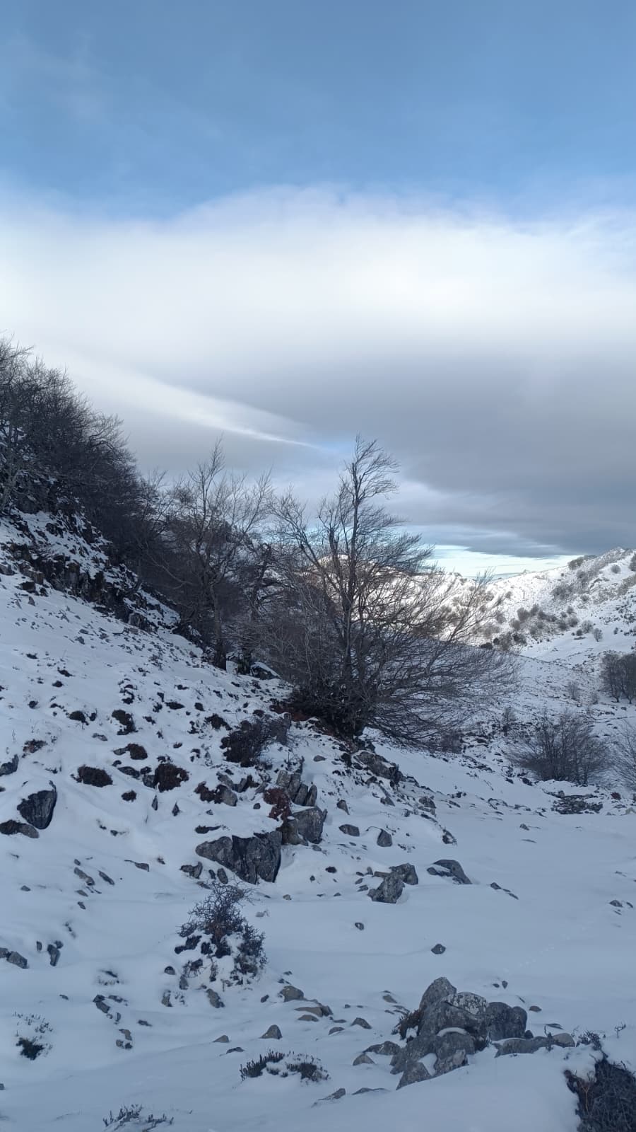 gorbea foto 17