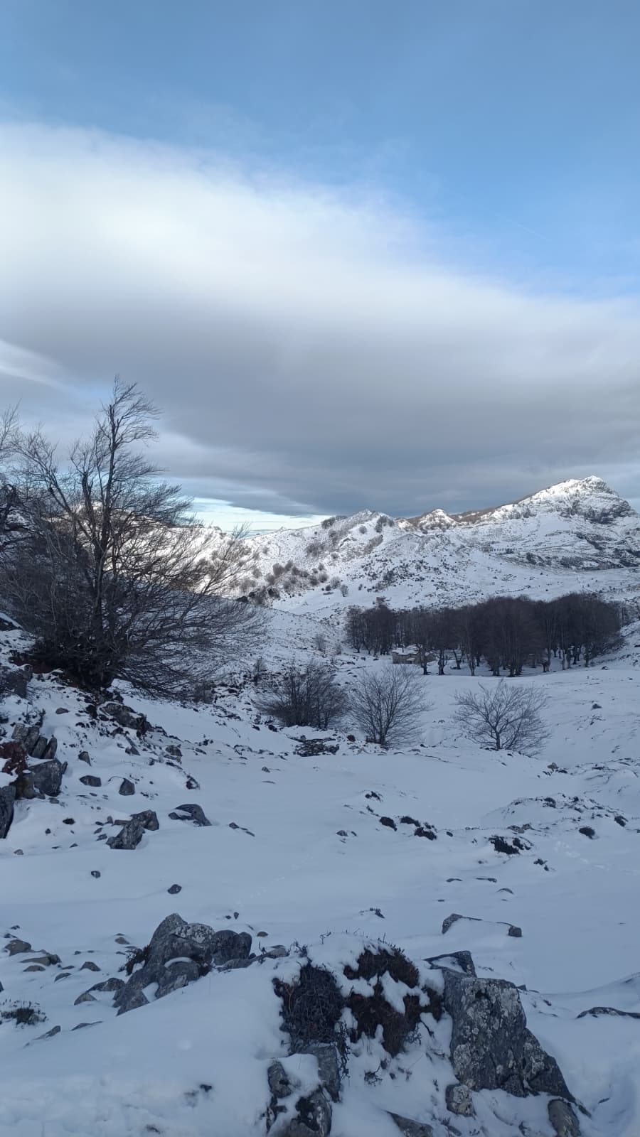 gorbea foto 19
