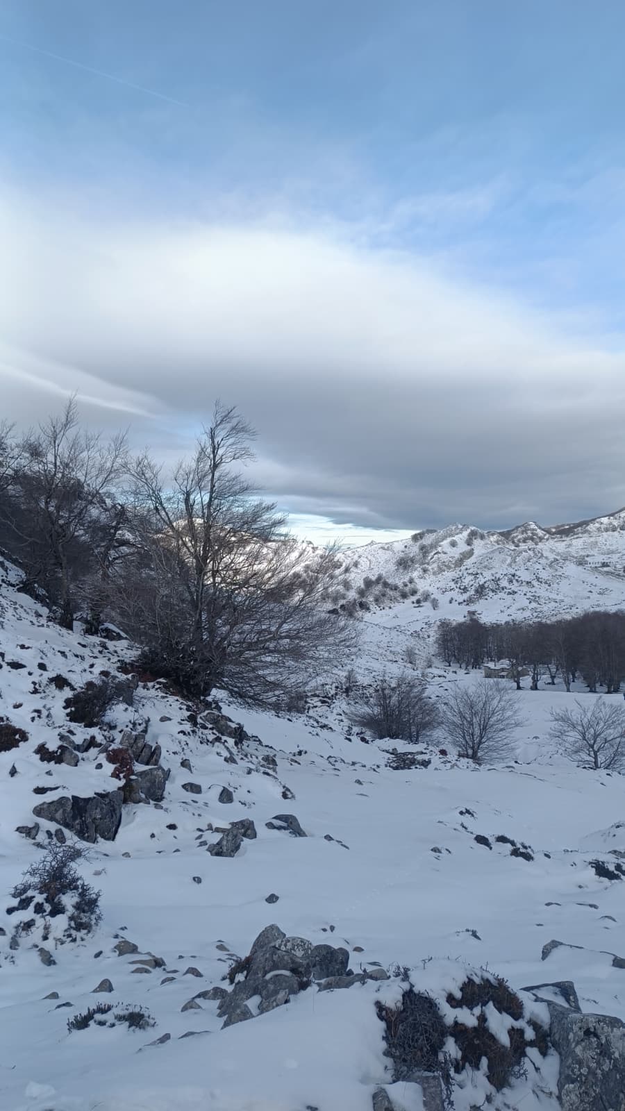 gorbea foto 21