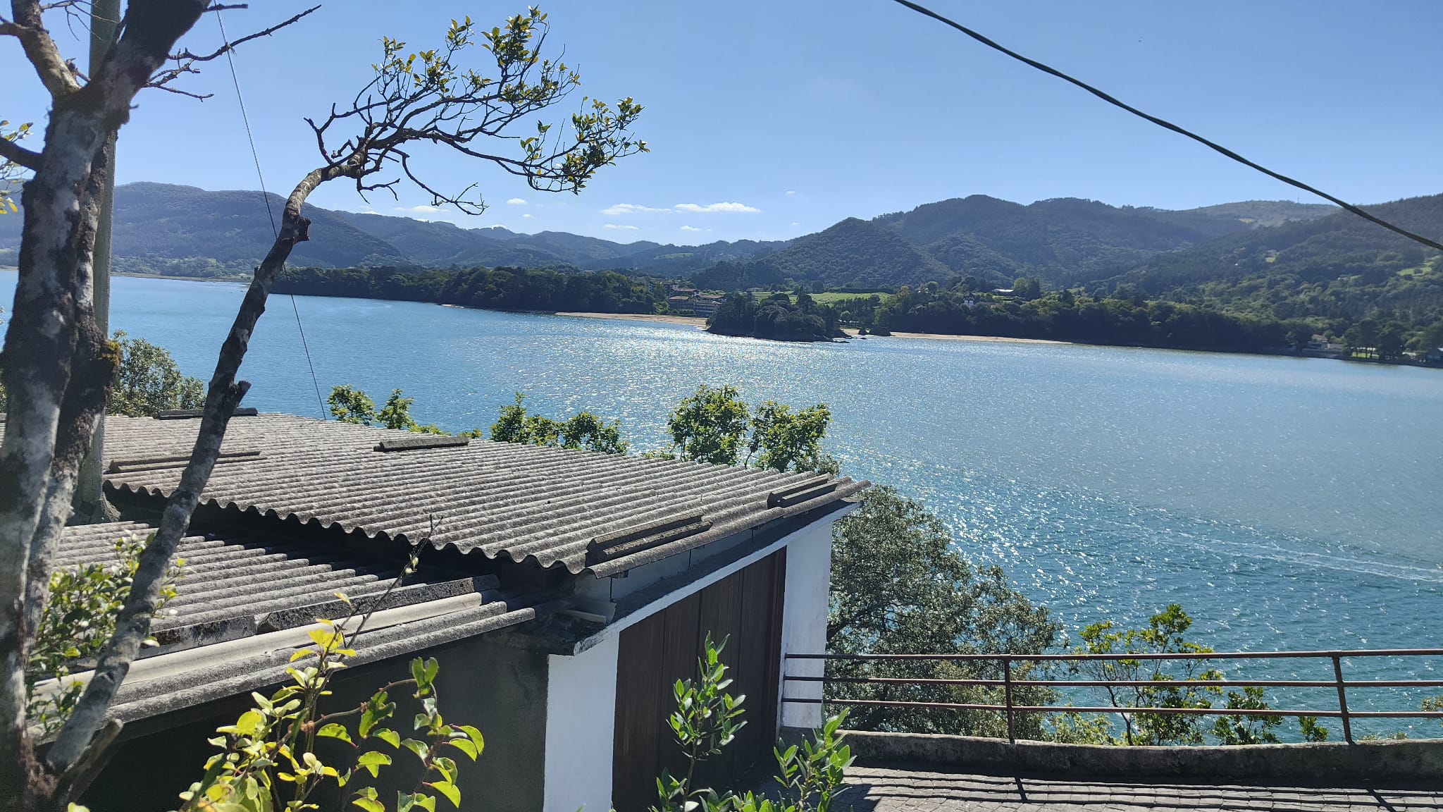 kanala foto 8