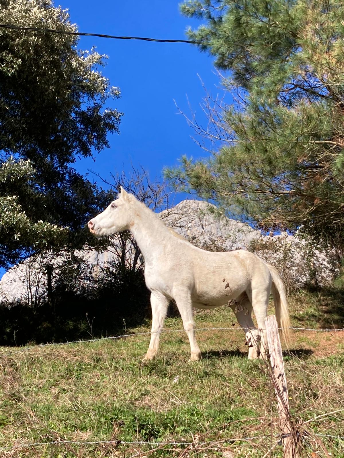 mugarra foto 5