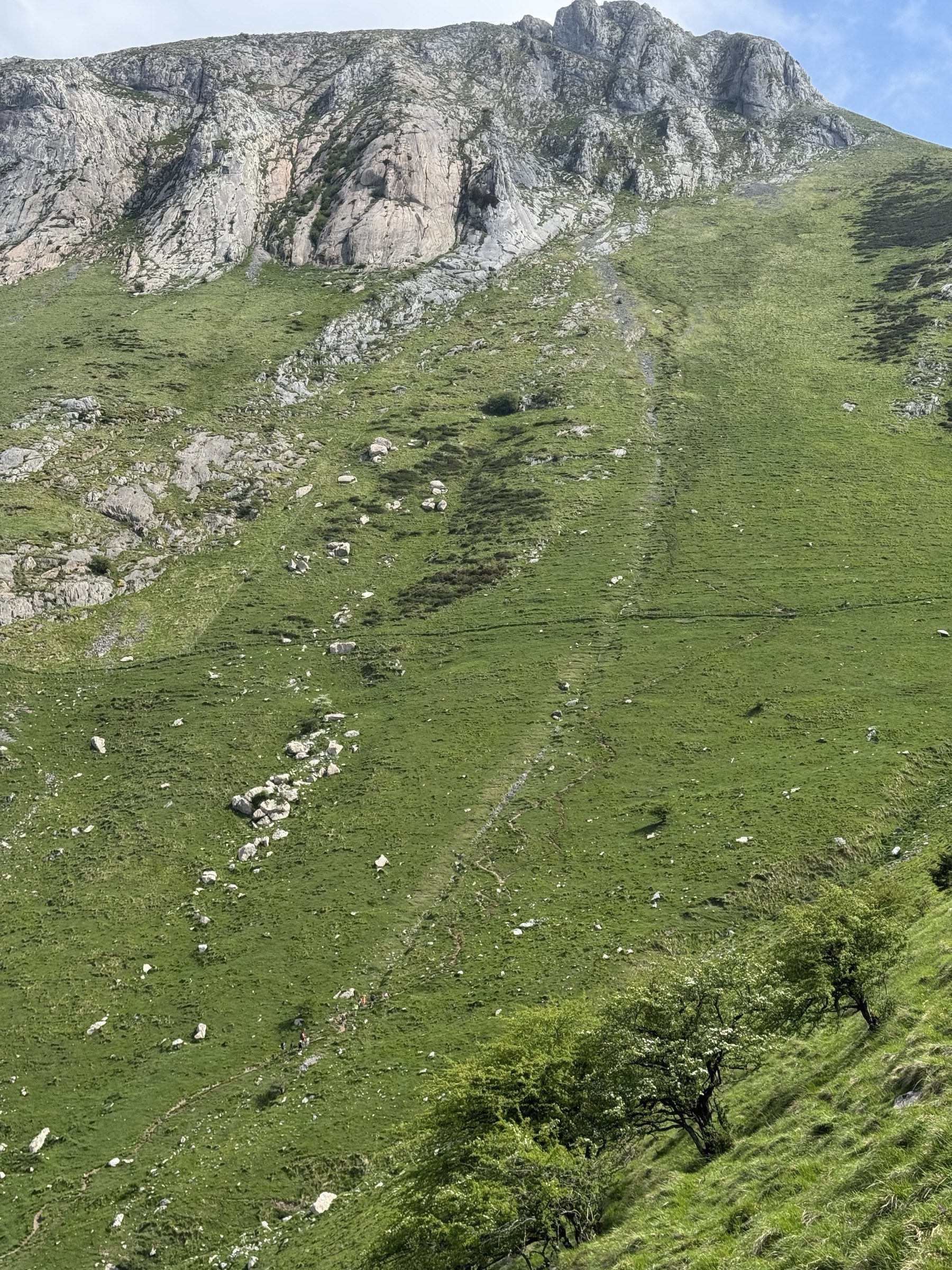 Pared caliza vertical del Txindoki con sendero subiendo y rebaño de ovejas en la ladera